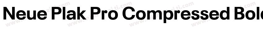 Neue Plak Pro Compressed Bold字体转换
